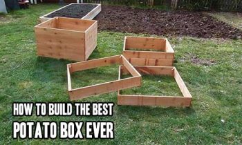 How To Build The Best Potato Box Ever - Mental Scoop