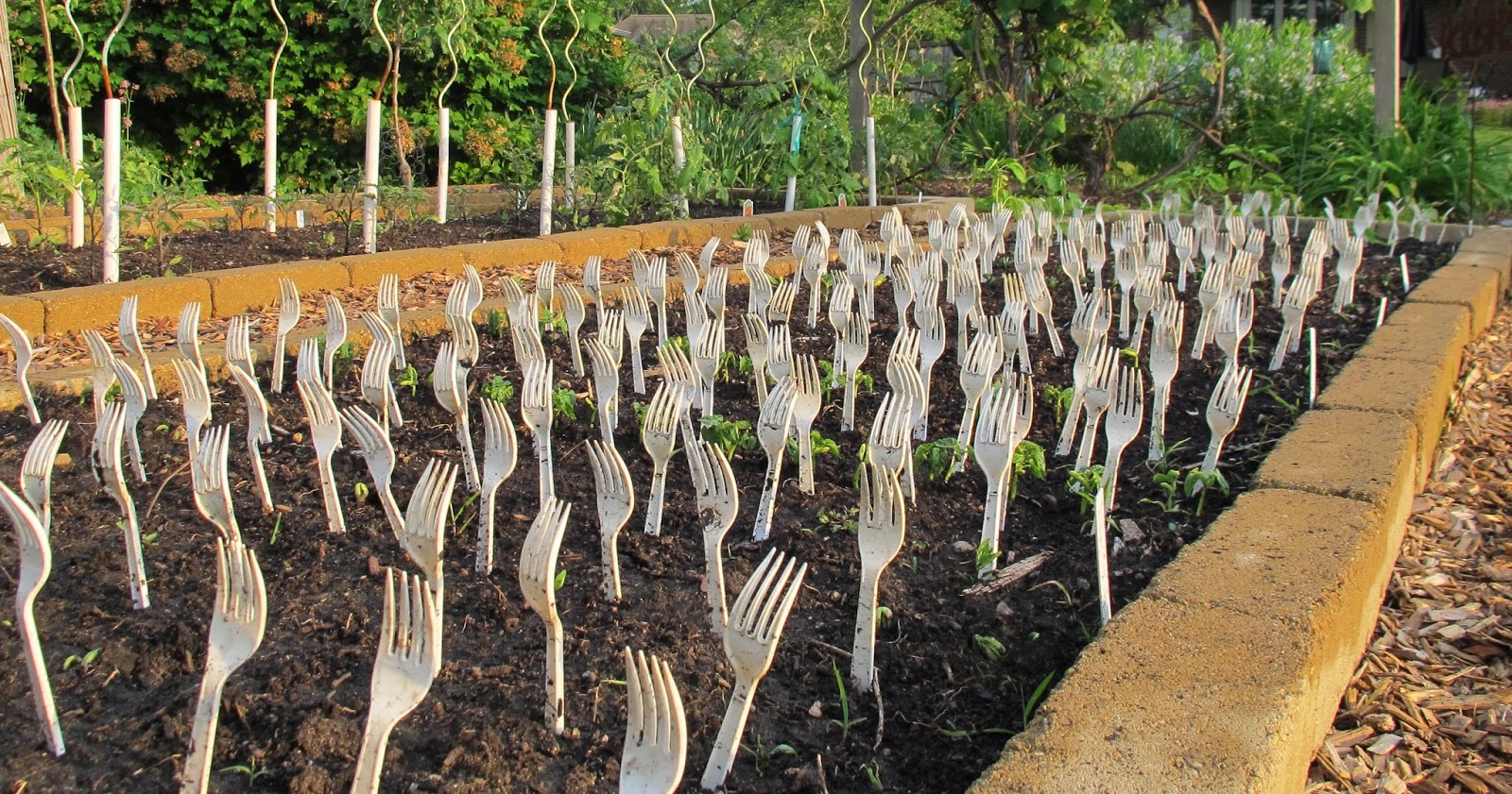 20 Ways to Deter Rabbits from Eating Your Garden - Mental Scoop