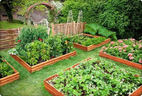 20 Ways to Deter Rabbits from Eating Your Garden - Mental Scoop