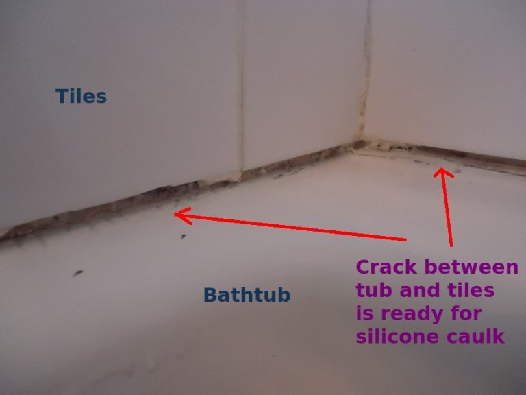 How to Clean Black Mold from Bathroom Sealant Mental Scoop