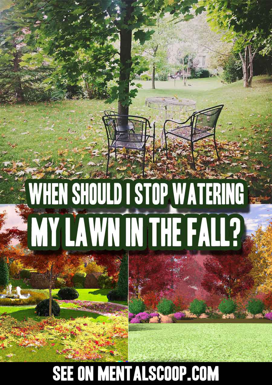 When Should I Stop Watering My Lawn In The Fall? - Mental Scoop