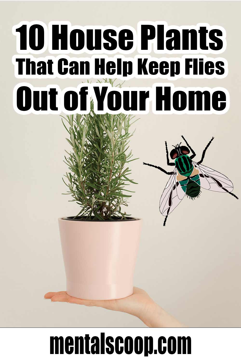 5-ways-to-keep-flies-away-from-your-picnic-keep-flies-away-fly