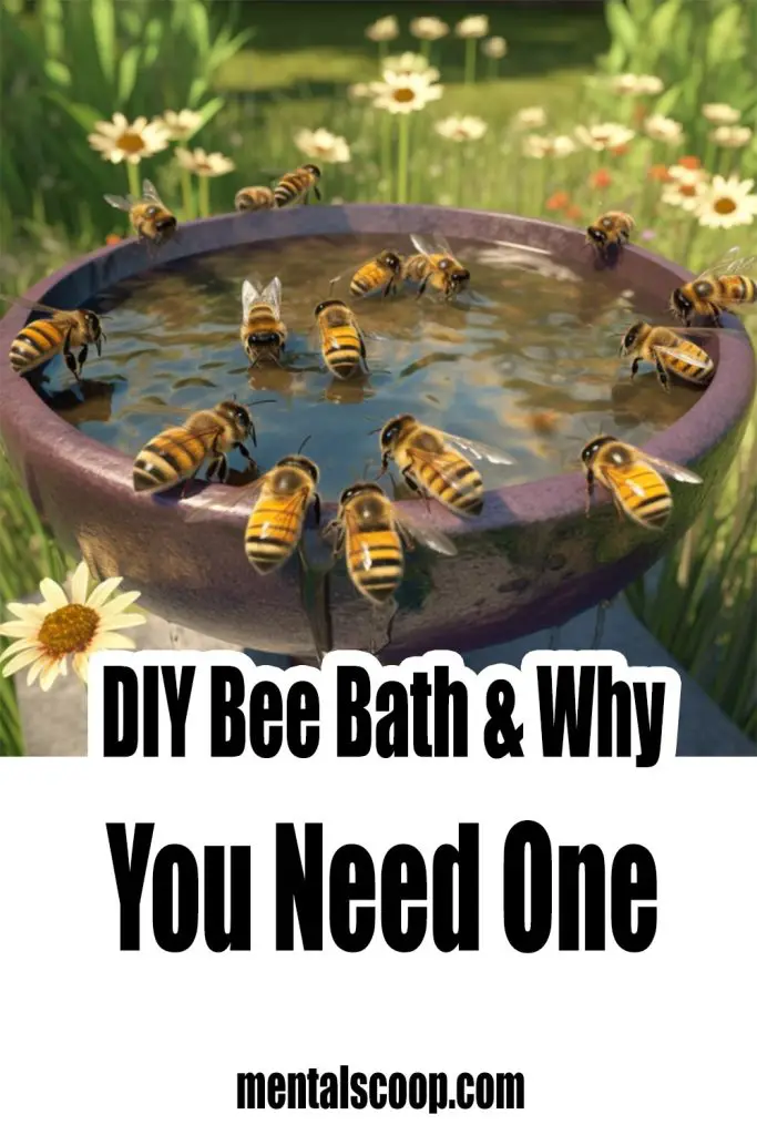 DIY Bee Bath & Why You Need One