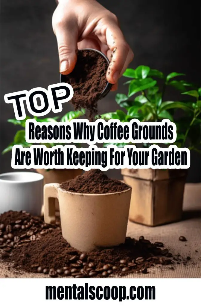 TOP Reasons Why Coffee Grounds Are Worth Keeping For Your Garden