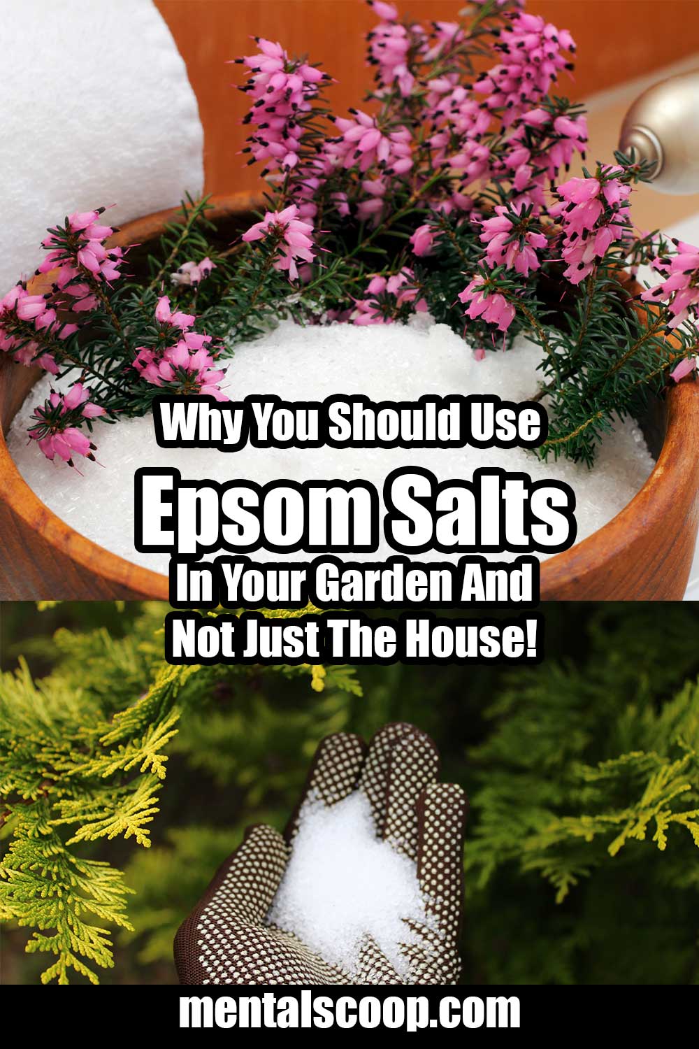 Why You Should Use Epsom Salts In Your Garden And Not Just The House