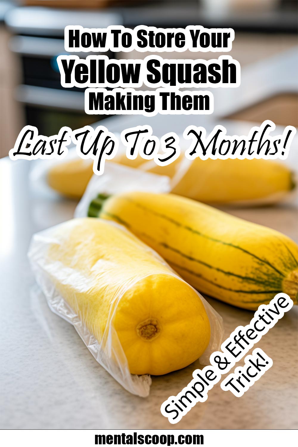 How To Store Your Yellow Squash Making Them Last Up To 3 Months   How To Store Yellow Squash 