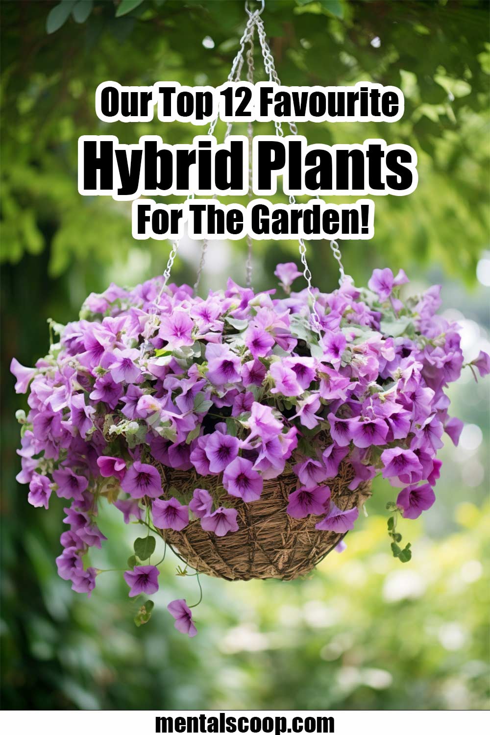 Our-Top-12-Favourite-Hybrid-Plants-For-The-Garden - Mental Scoop