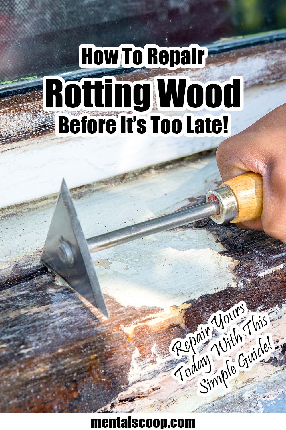 Restore Rotten Wood  Earl's Wood Hardener penetrates into soft