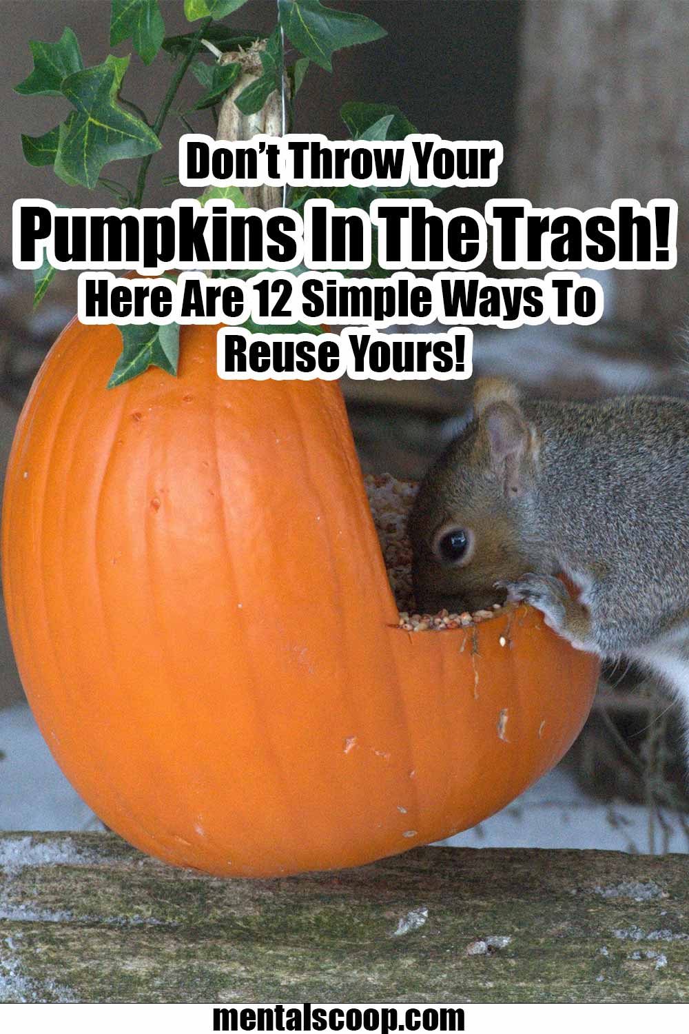 Don't Throw Your Pumpkins In The Trash! Here Are 12 Ways To Reuse Yours ...