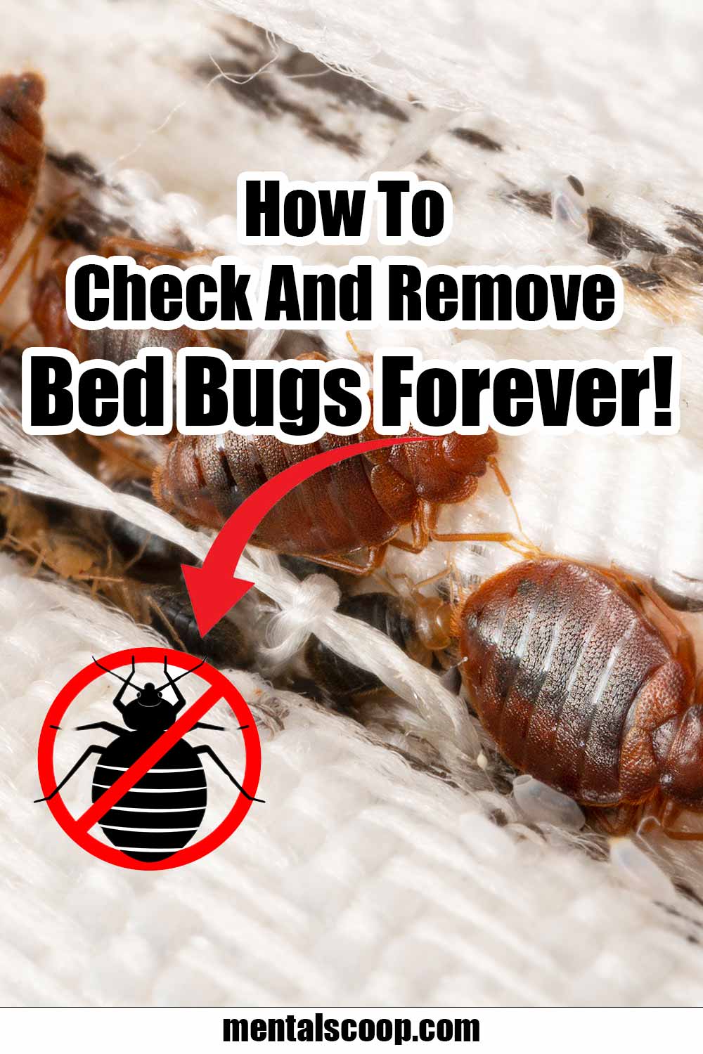 How-To-Check-And-Remove-Bed-Bugs-Forever - Mental Scoop