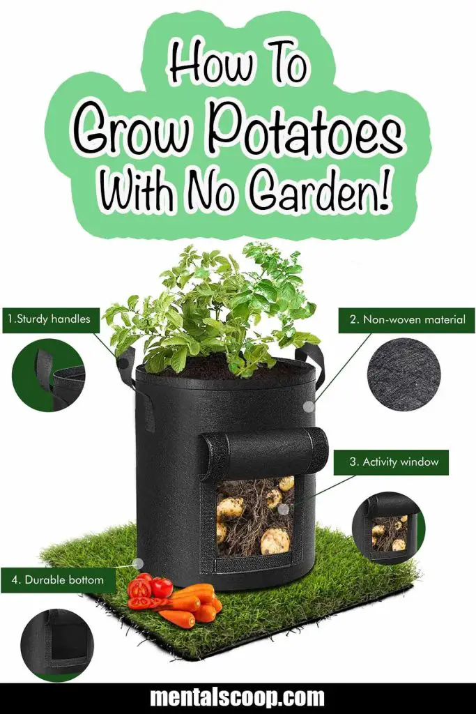 https://www.mentalscoop.com/wp-content/uploads/2023/12/How-To-Grow-Potatoes-With-No-Garden-1-683x1024.jpg