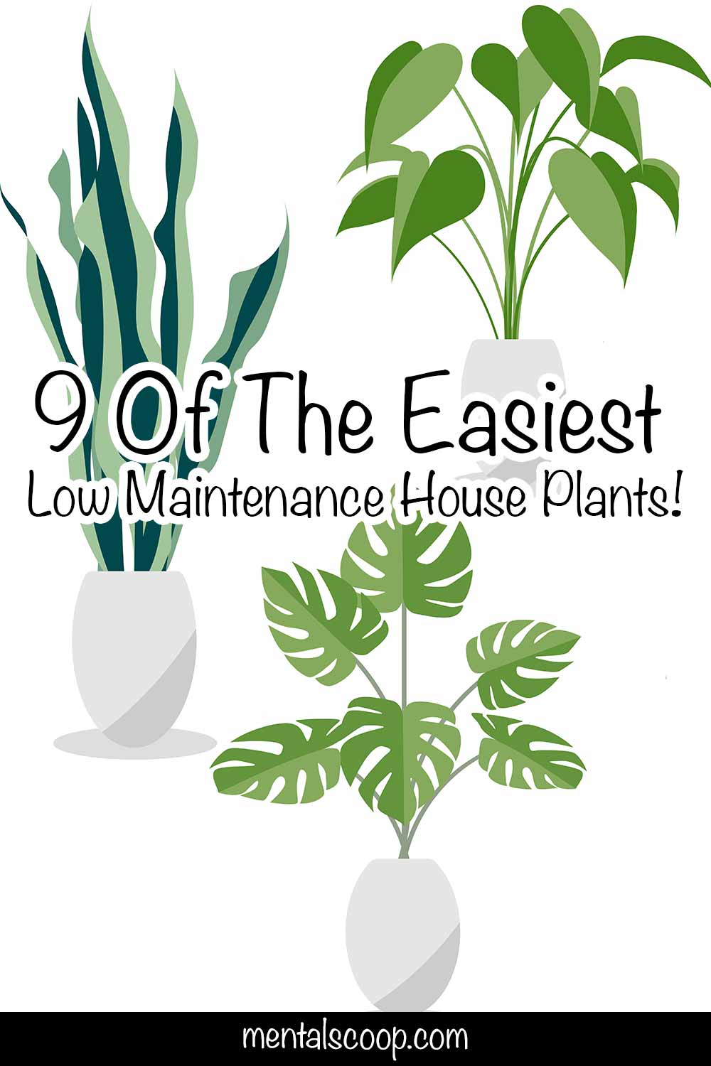 9-of-the-easiest-low-maintenance-house-plants-mental-scoop