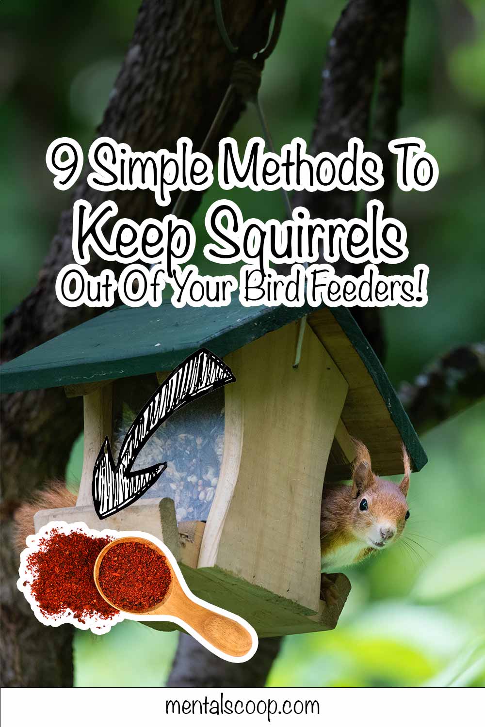 9-Simple-Methods-To-Keep-Squirrels-Out-Of-Your-Bird-Feeders - Mental Scoop